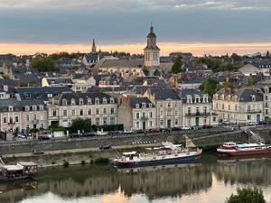 Lutte contre les nuisibles Angers